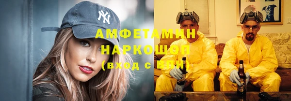 стаф Медногорск