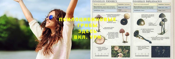 гидропоника Мегион