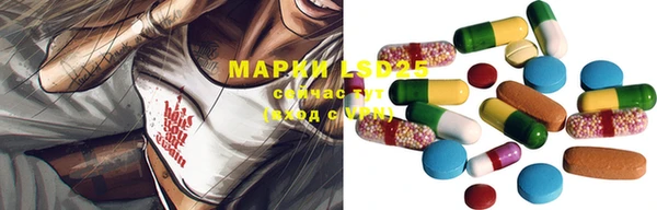 стаф Медногорск