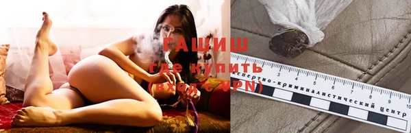 стаф Медногорск