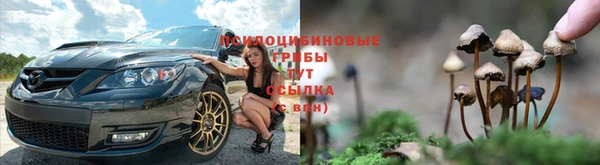spice Медвежьегорск