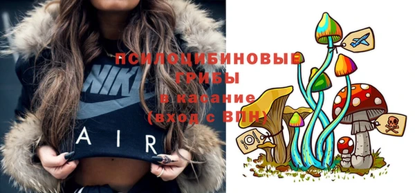 гидропоника Мегион