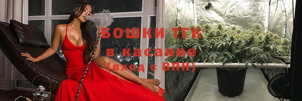 стаф Медногорск